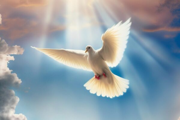 By following the guidance of God’s Spirit eliminating sinful behaviors demonstrates our true identity as adopted children of God who can call Him ‘Father’ and live eternally.